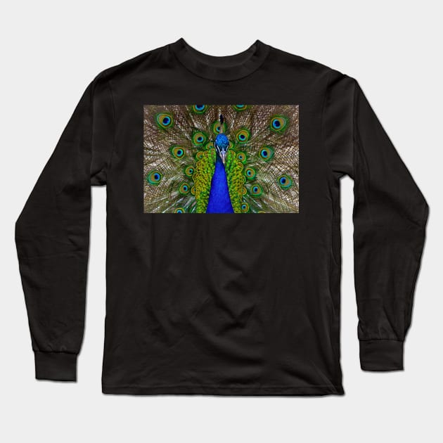 Peacock Long Sleeve T-Shirt by LaurenGalanty